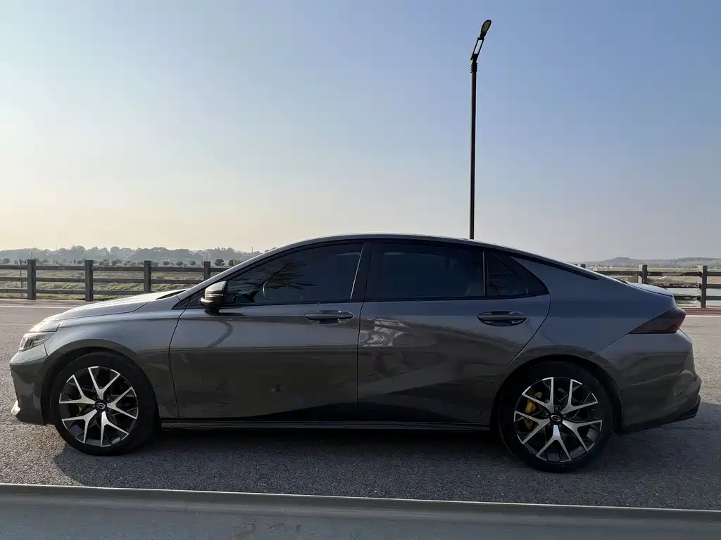GAC Motor Shadow Leopard — фото 8