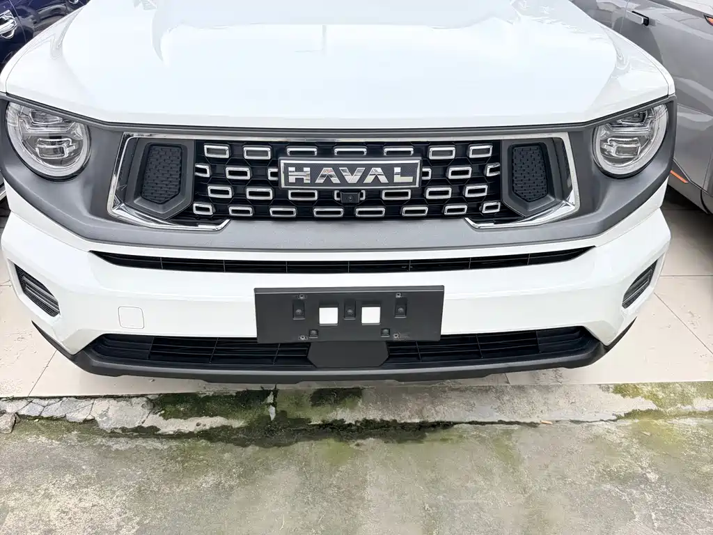 Haval Big Dog PLUS — фото 2