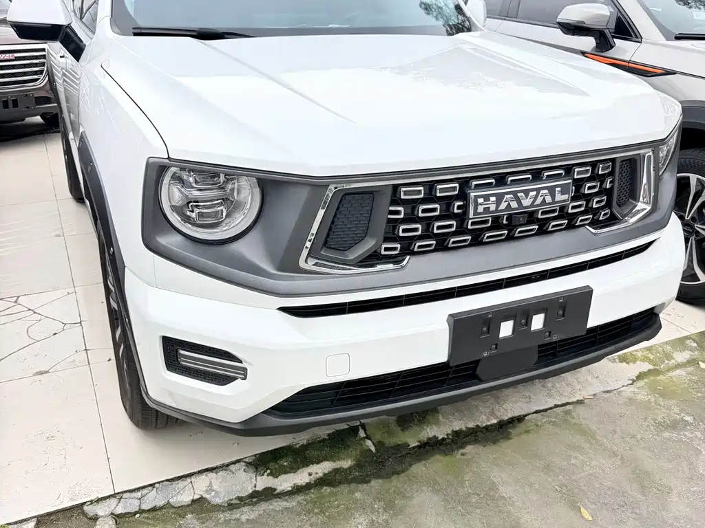 Haval Big Dog PLUS — фото 3