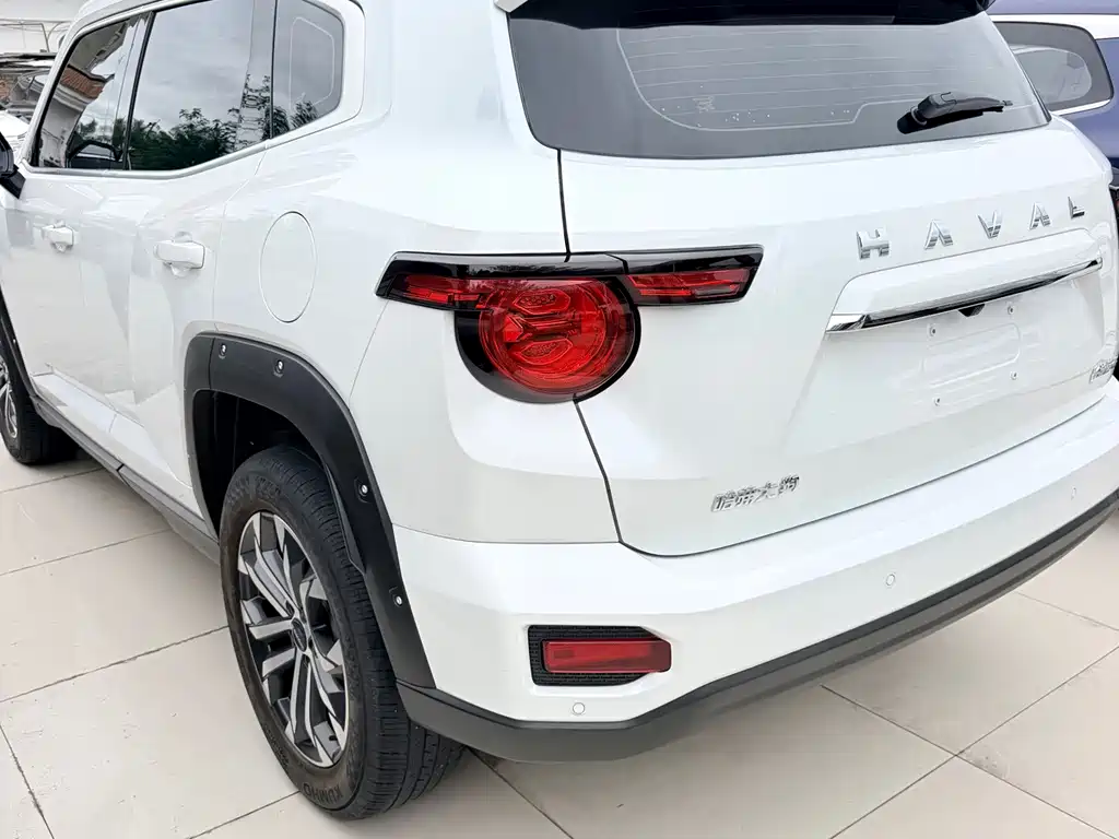 Haval Big Dog PLUS — фото 8