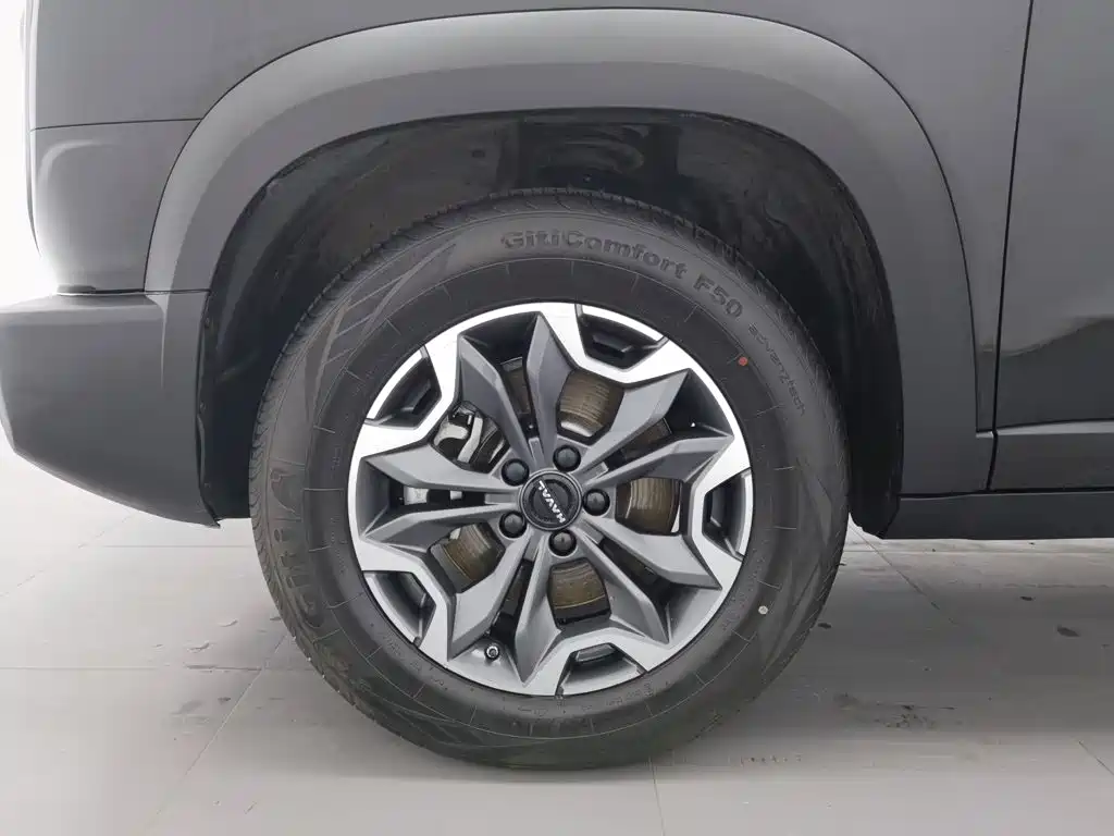 Haval Big Dog — фото 17