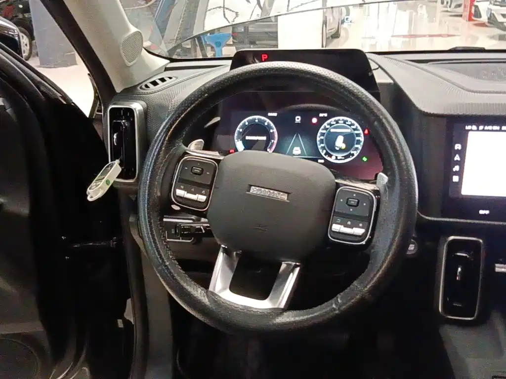 Haval Big Dog — фото 11