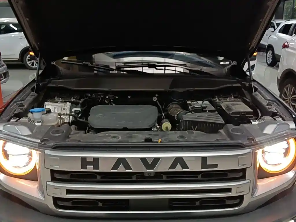 Haval Big Dog — фото 20