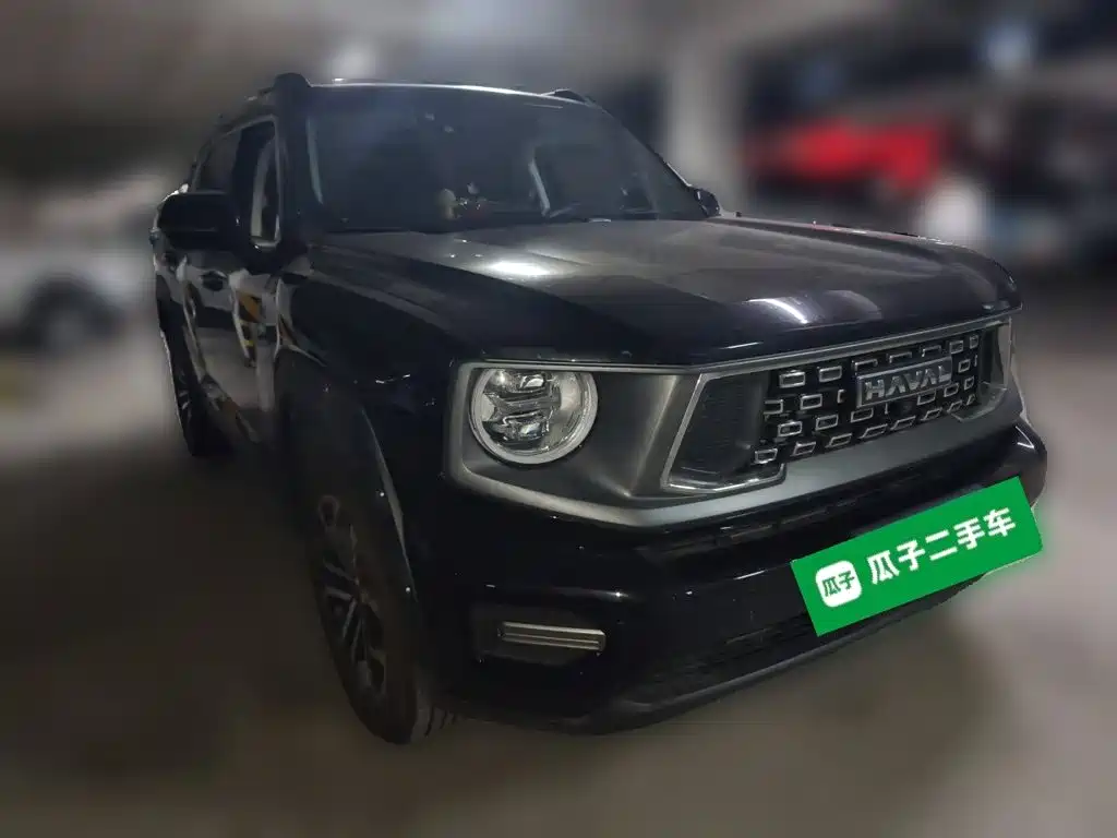 Haval Big Dog PLUS — фото 24