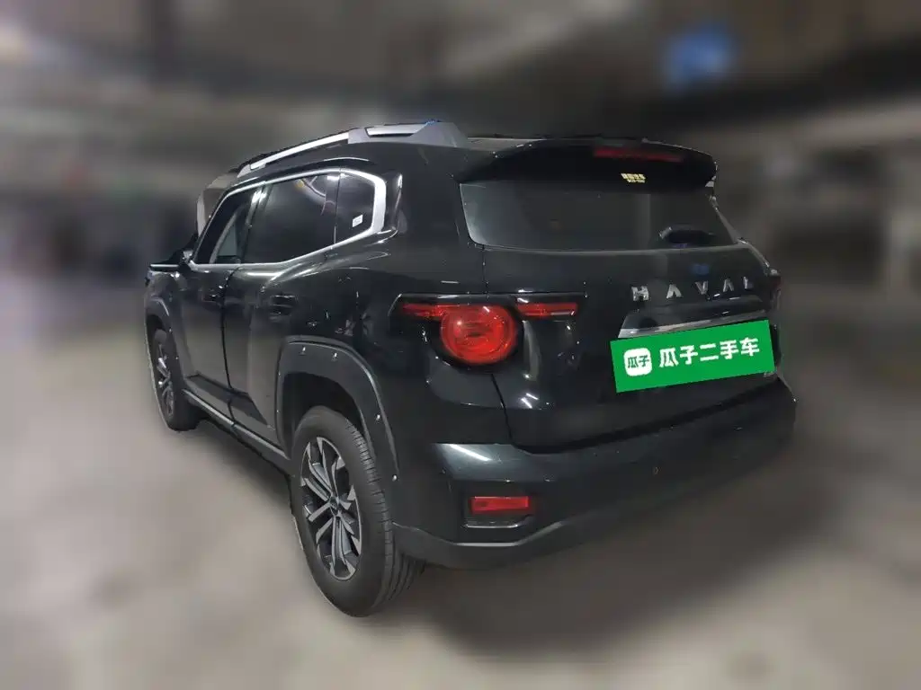 Haval Big Dog PLUS — фото 25