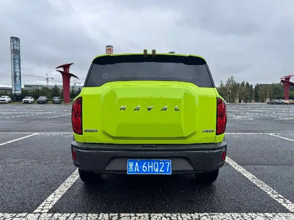 Haval Cool Dog — фото 6