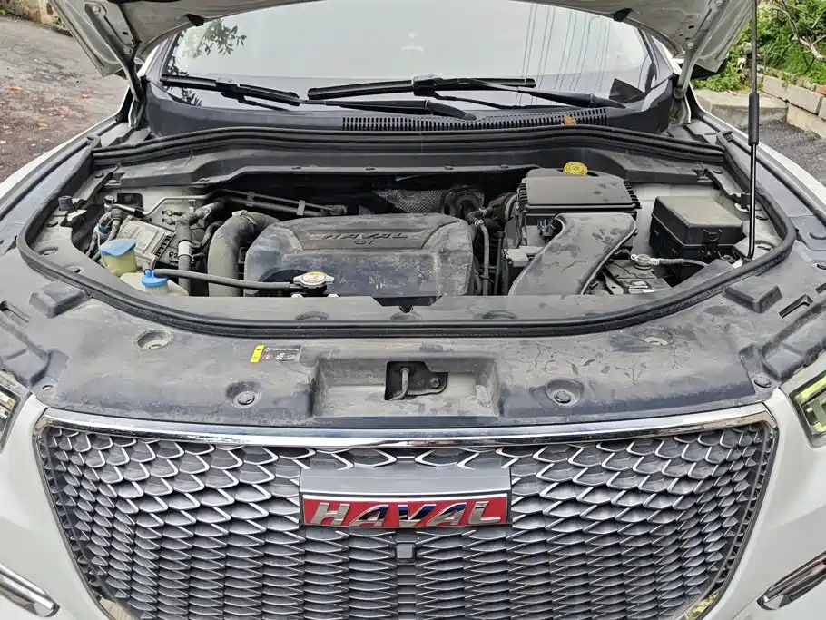 Haval H2s — фото 10