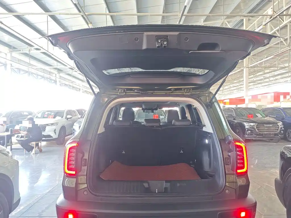 Haval Big Dog — фото 19