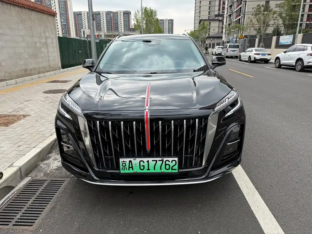 Hongqi Hongqi HS3 PHEV — фото 2