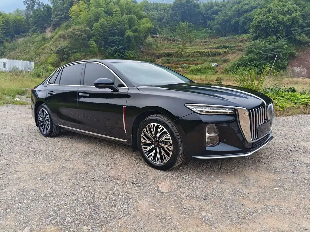 Hongqi Hongqi H5 — фото 3