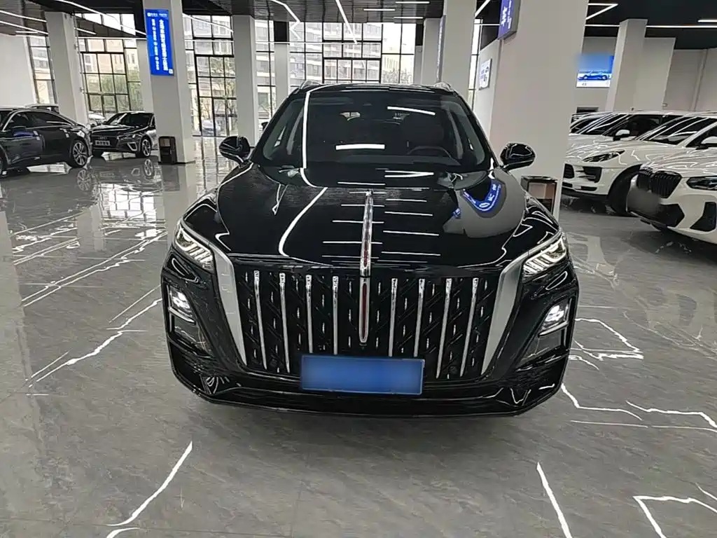 Hongqi Hongqi HS5 — фото 3