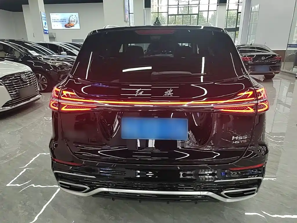 Hongqi Hongqi HS5 — фото 6
