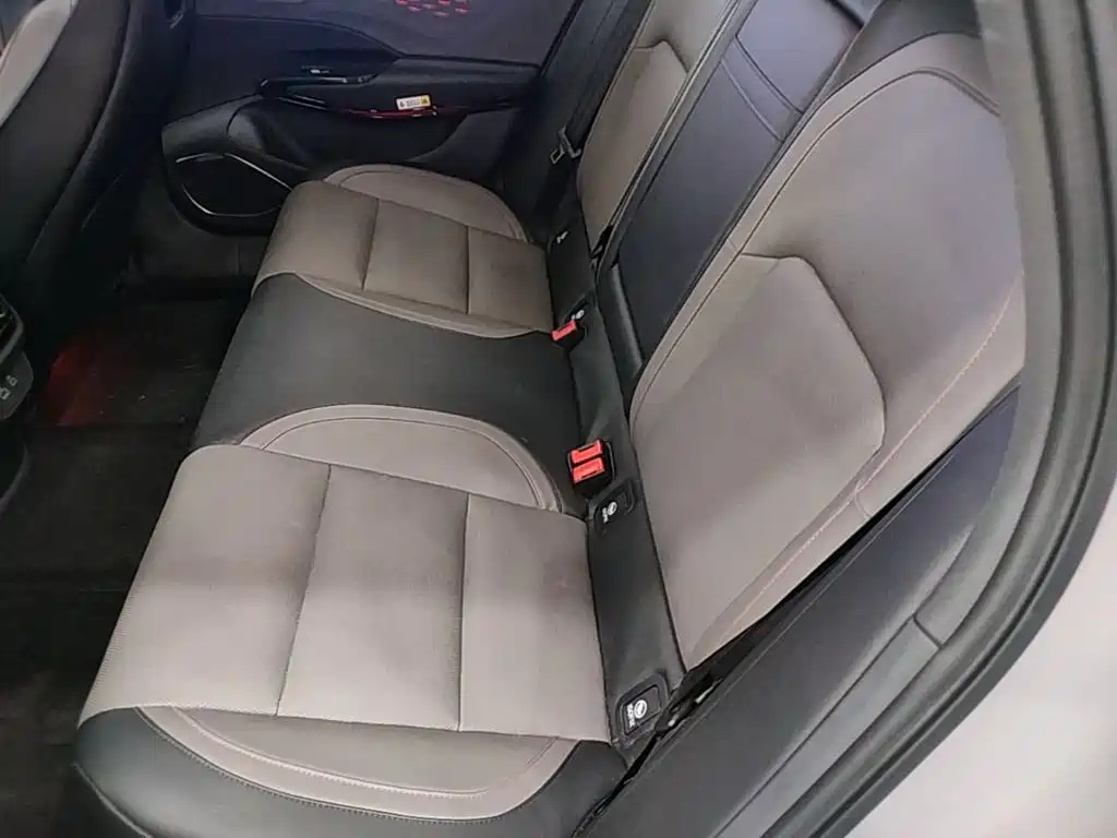 Hongqi Hongqi EH7 — фото 22