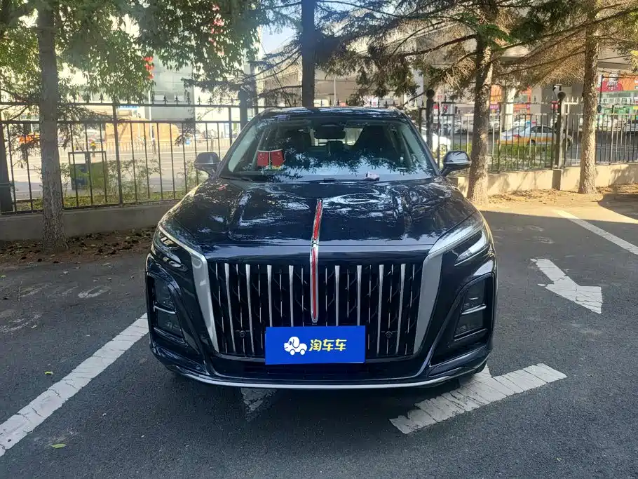 Hongqi Hongqi HS3 — фото 2