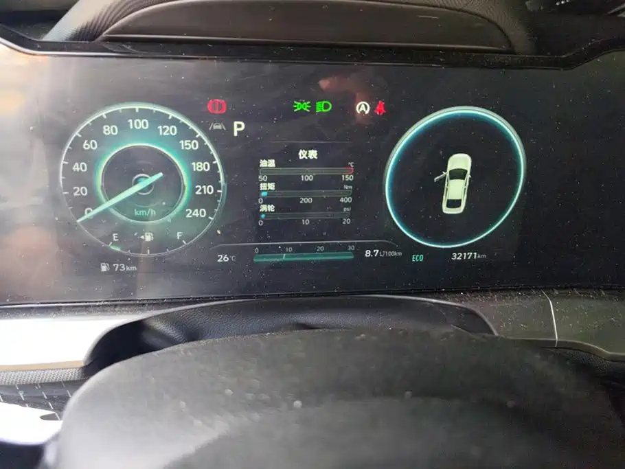 Hyundai Fista — фото 14