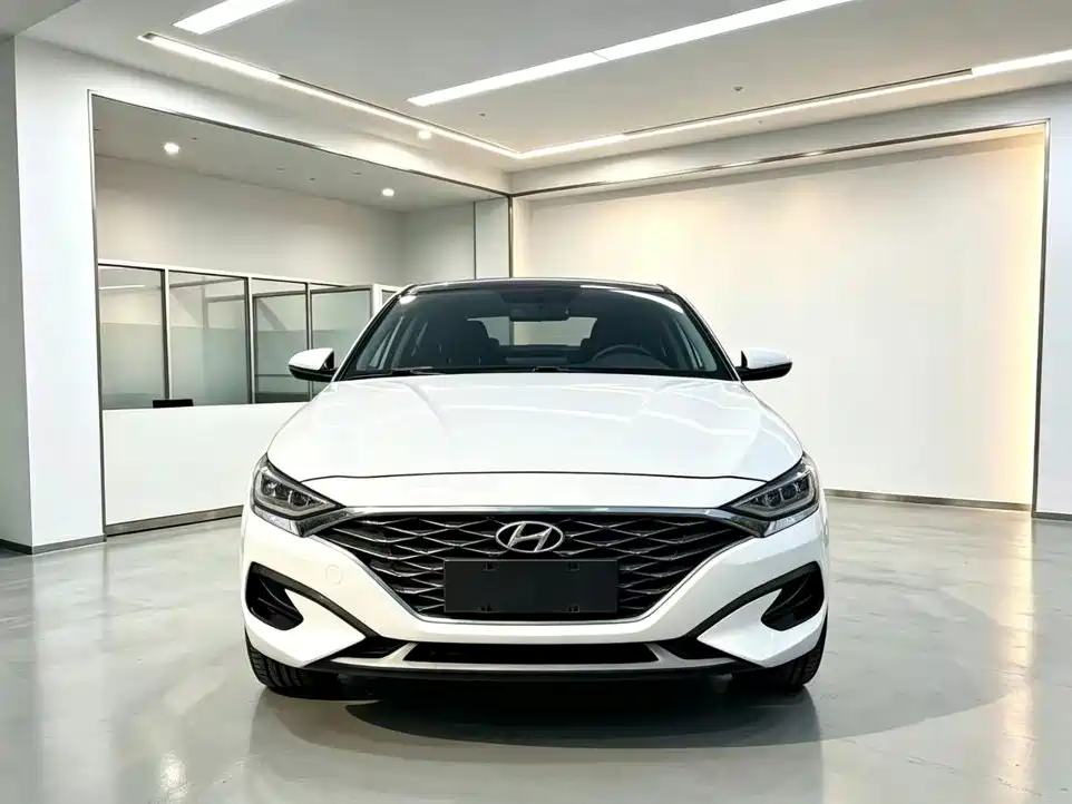 Hyundai Fista — фото 2