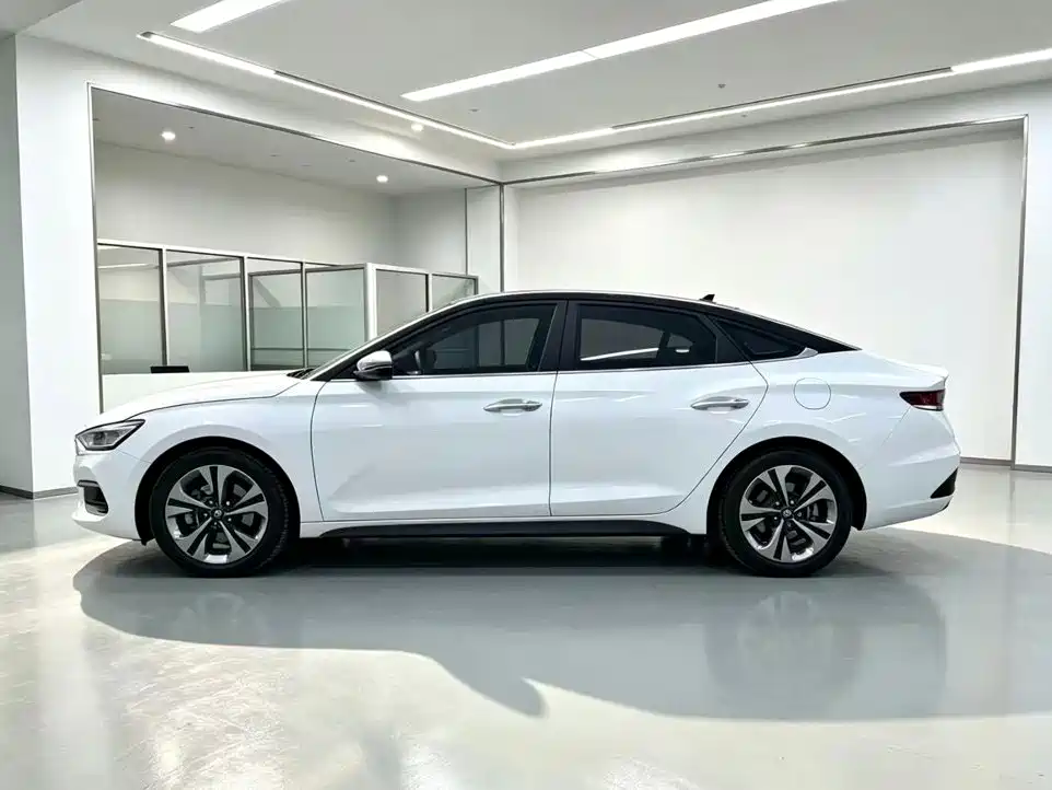 Hyundai Fista — фото 3