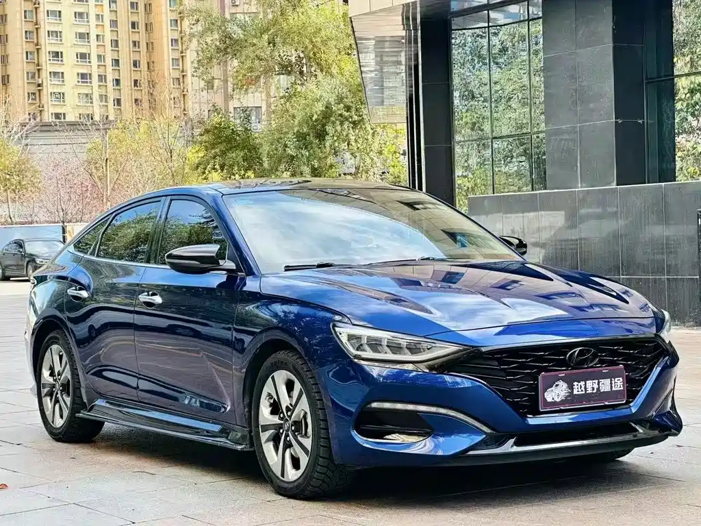 Hyundai Fista — фото 3