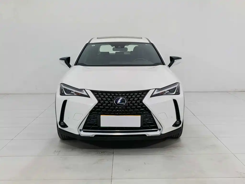 Lexus UX New Energy — фото 3