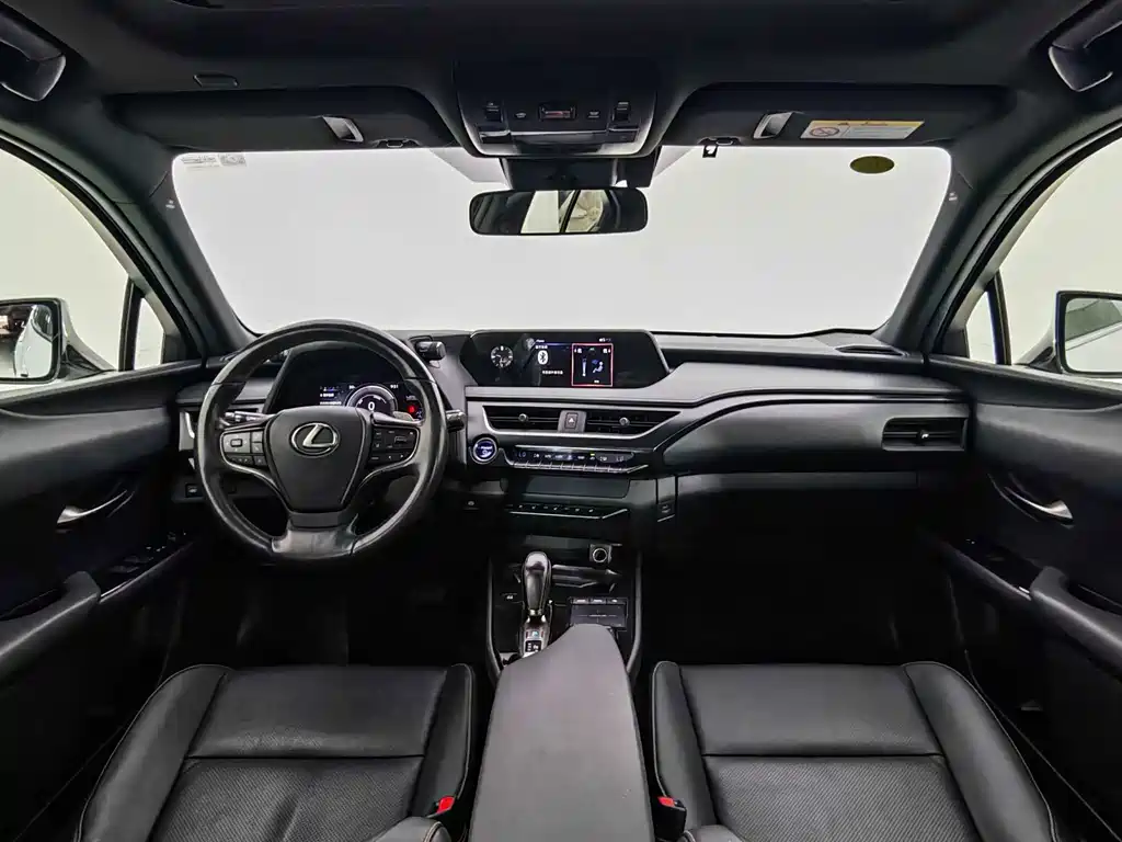 Lexus UX New Energy — фото 22