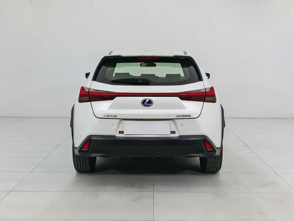 Lexus UX New Energy — фото 5