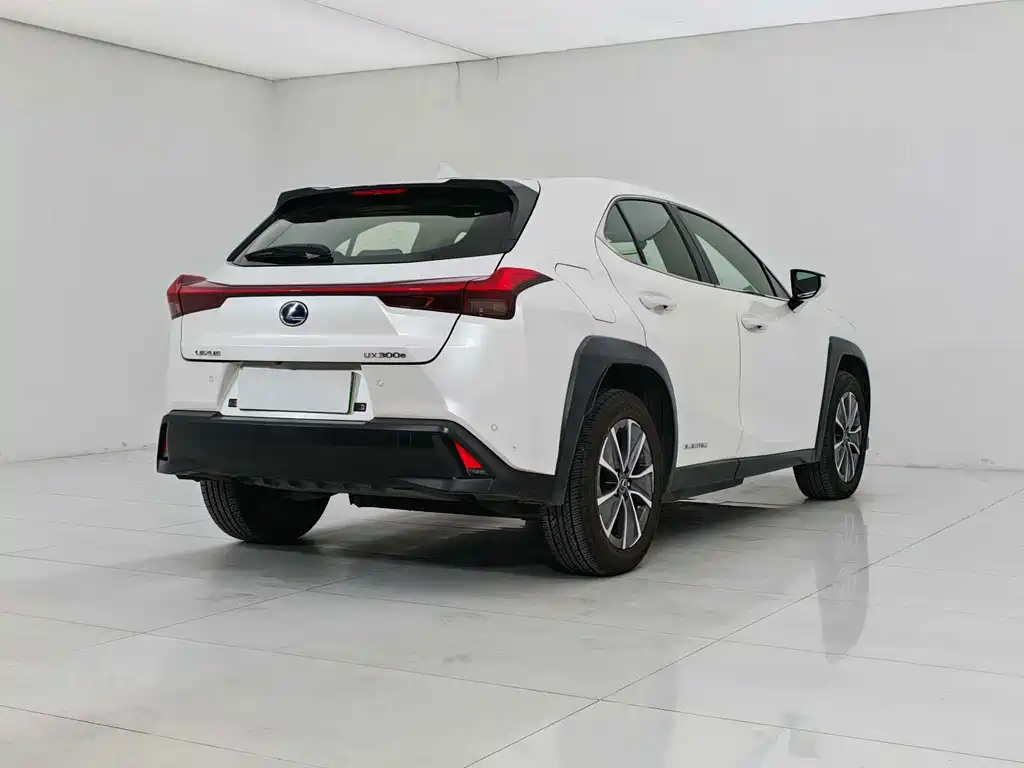 Lexus UX New Energy — фото 6