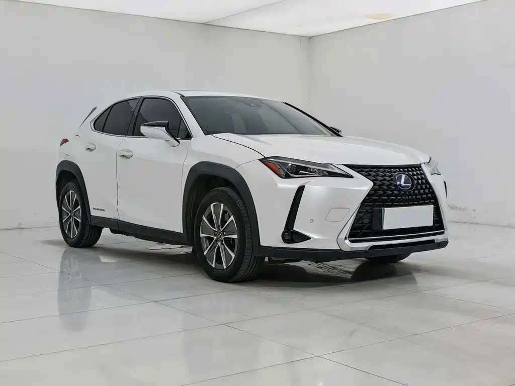 Lexus UX New Energy — фото 5