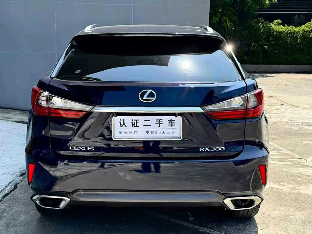 Lexus RX — фото 5