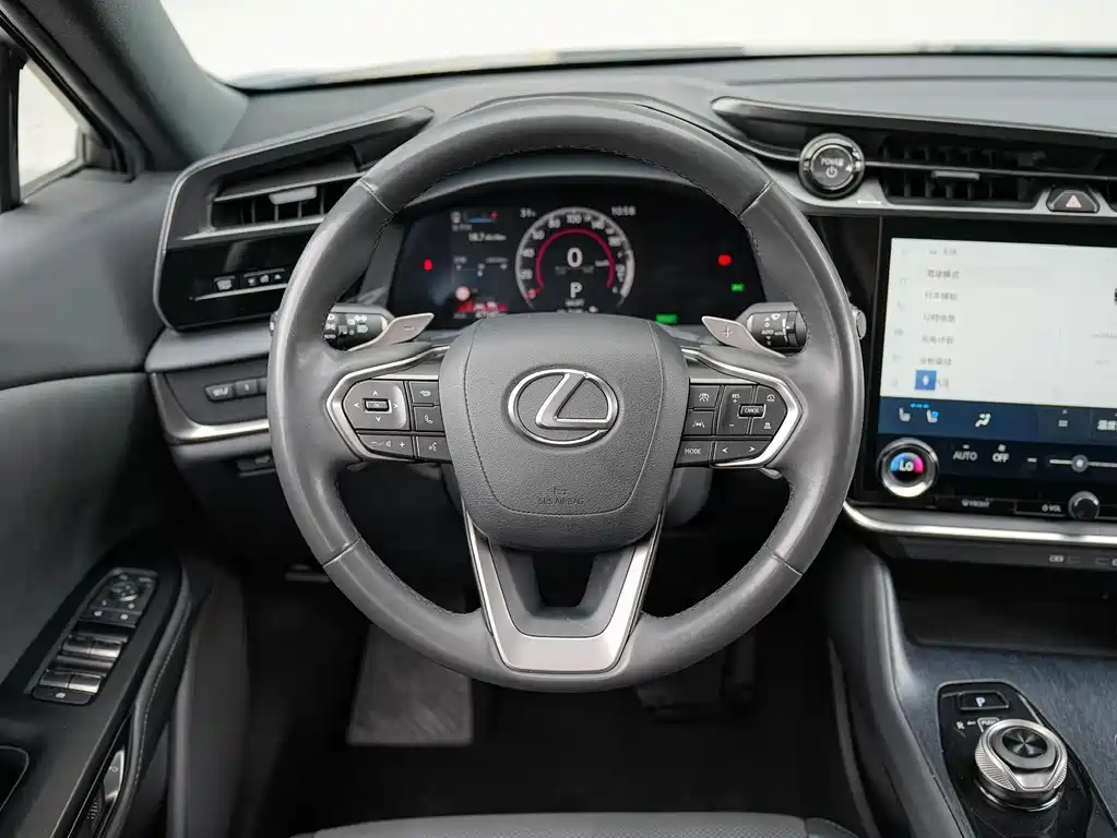 Lexus RZ — фото 18