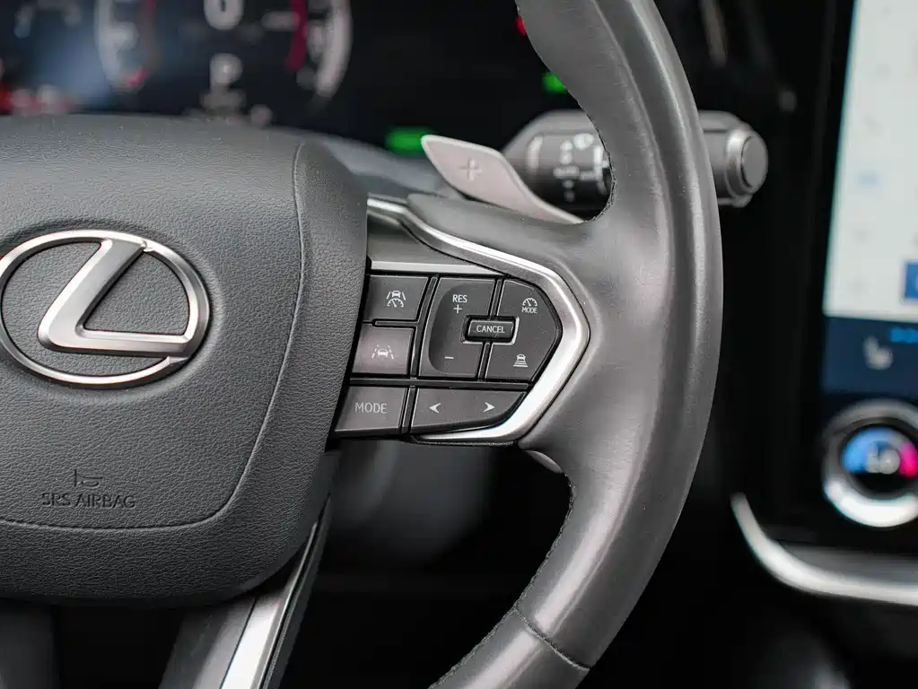 Lexus RZ — фото 19