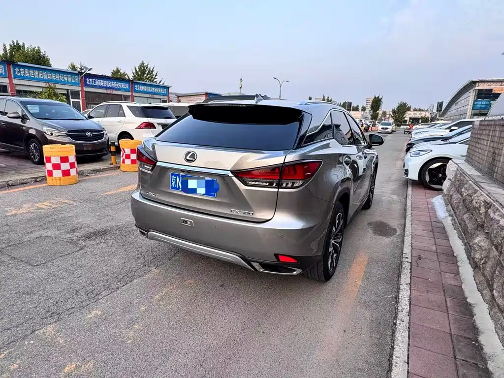 Lexus RX — фото 11