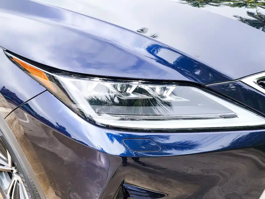Lexus RX — фото 20