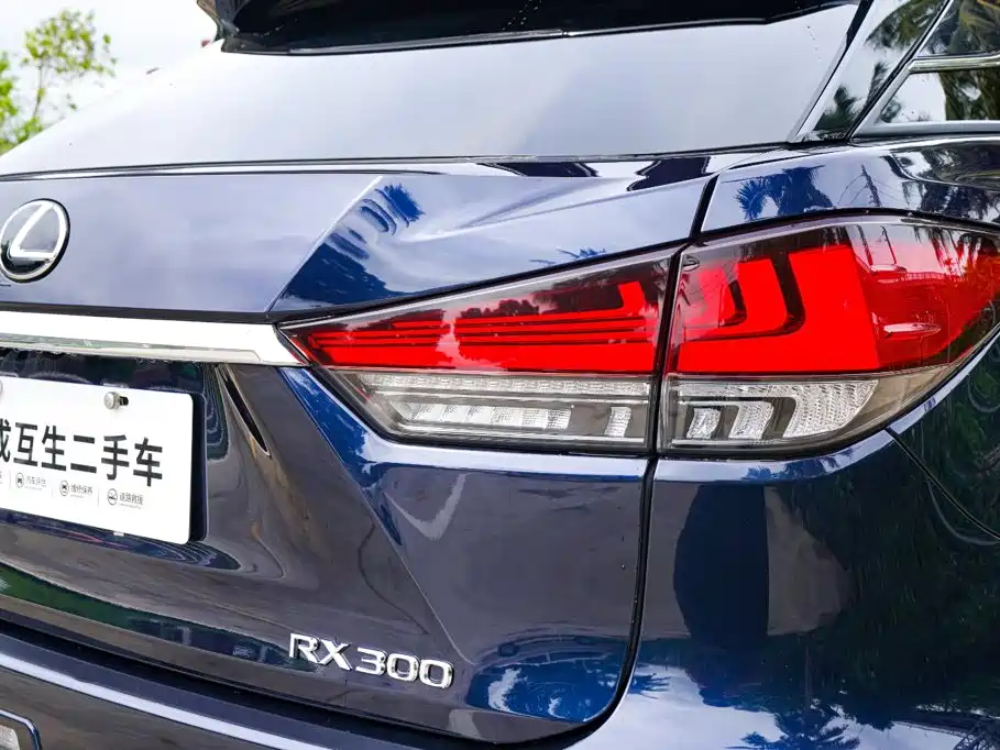 Lexus RX — фото 22