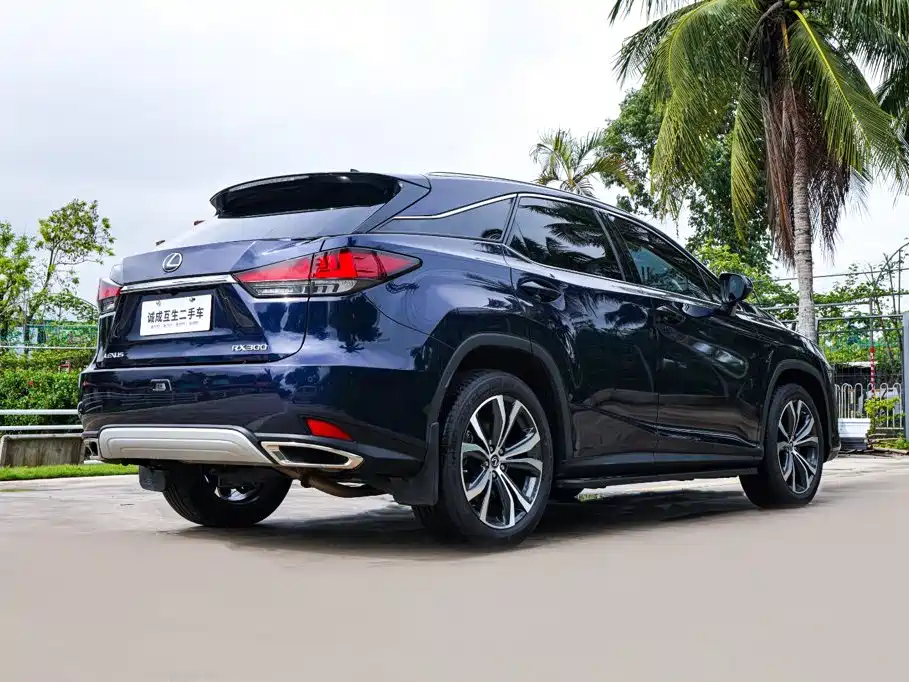 Lexus RX — фото 6