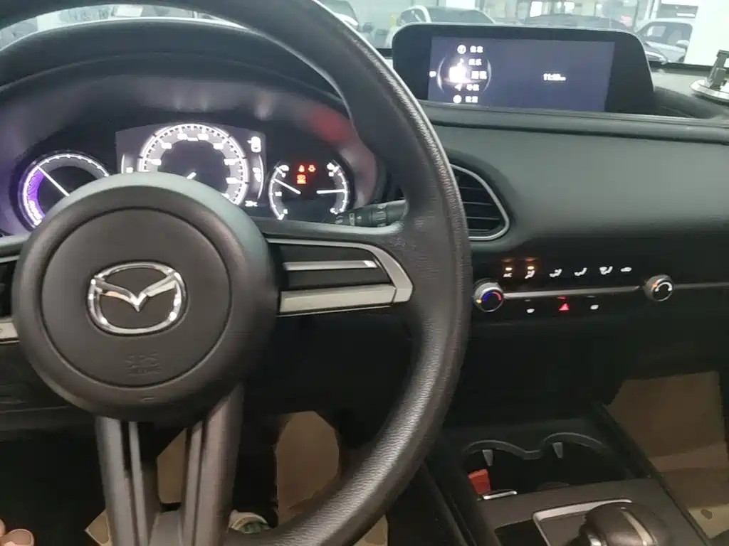 Mazda CX-30 EV — фото 10
