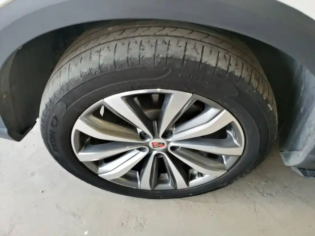 Roewe RX5 MAX — фото 23