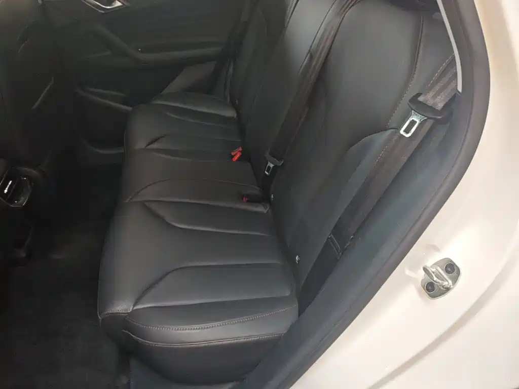 Roewe RX5 New Energy — фото 17
