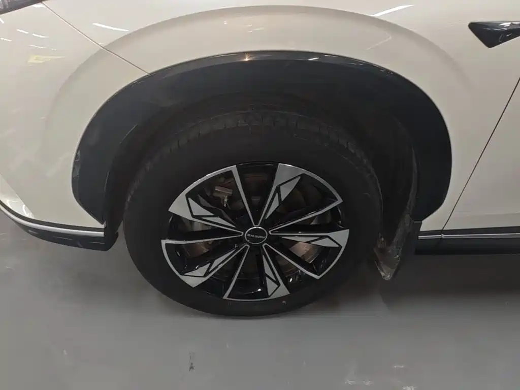 Roewe RX5 New Energy — фото 23