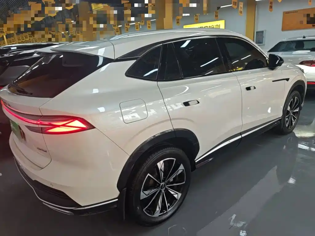 Roewe RX5 New Energy — фото 7