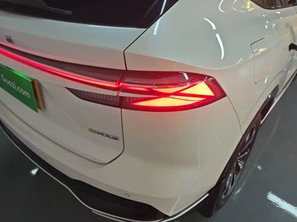 Roewe RX5 New Energy — фото 8