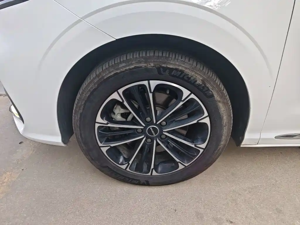 Roewe iMAX8 — фото 23