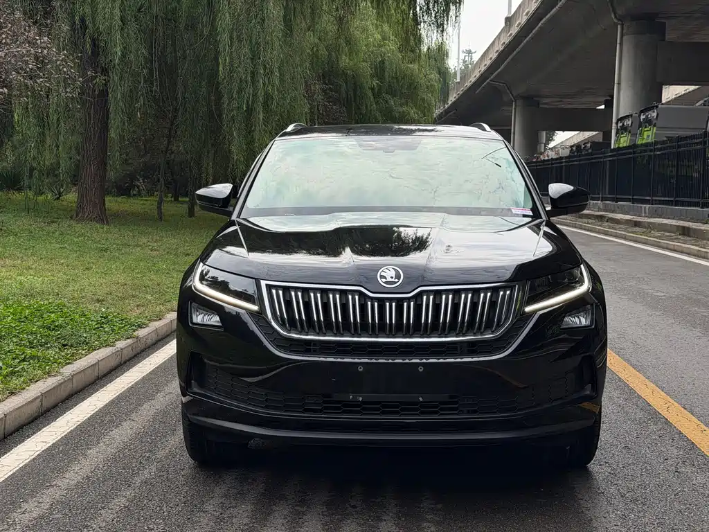 Skoda Kodiaq GT — фото 2