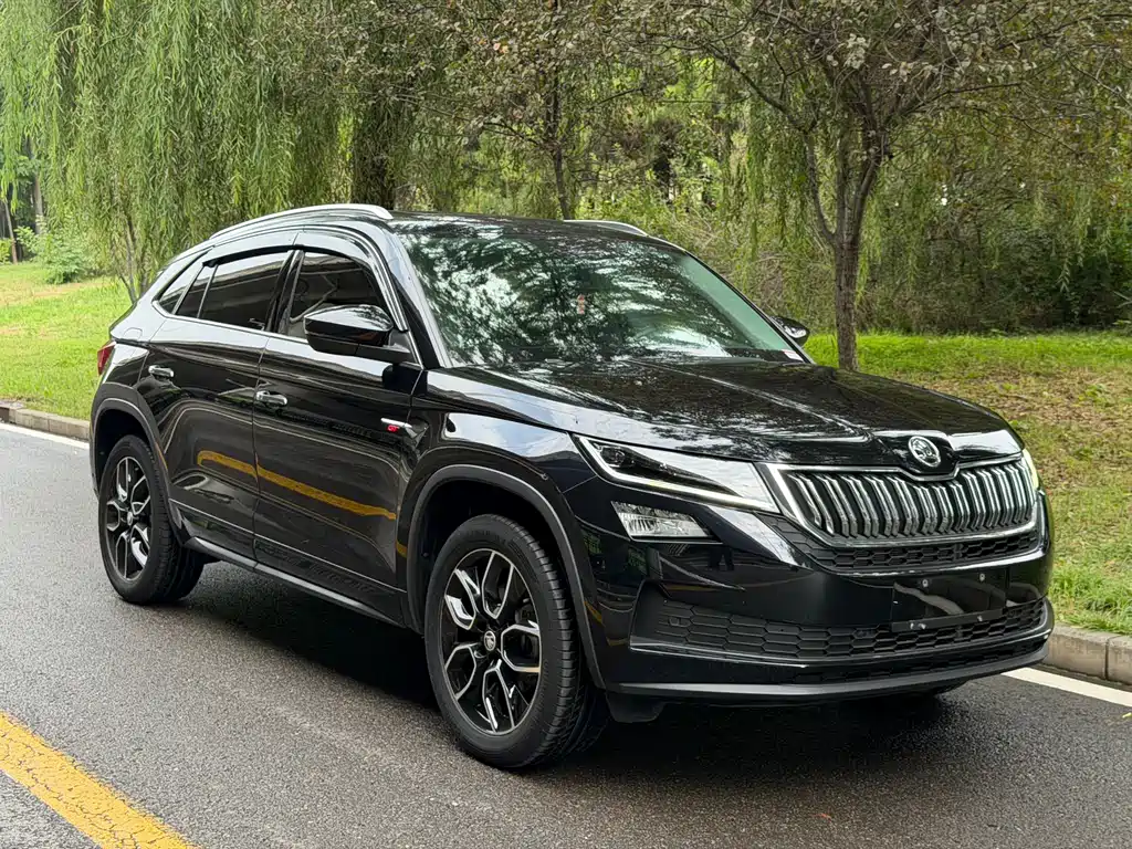 Skoda Kodiaq GT — фото 3