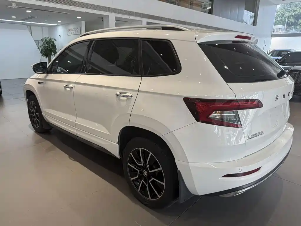 Skoda Karoq — фото 6
