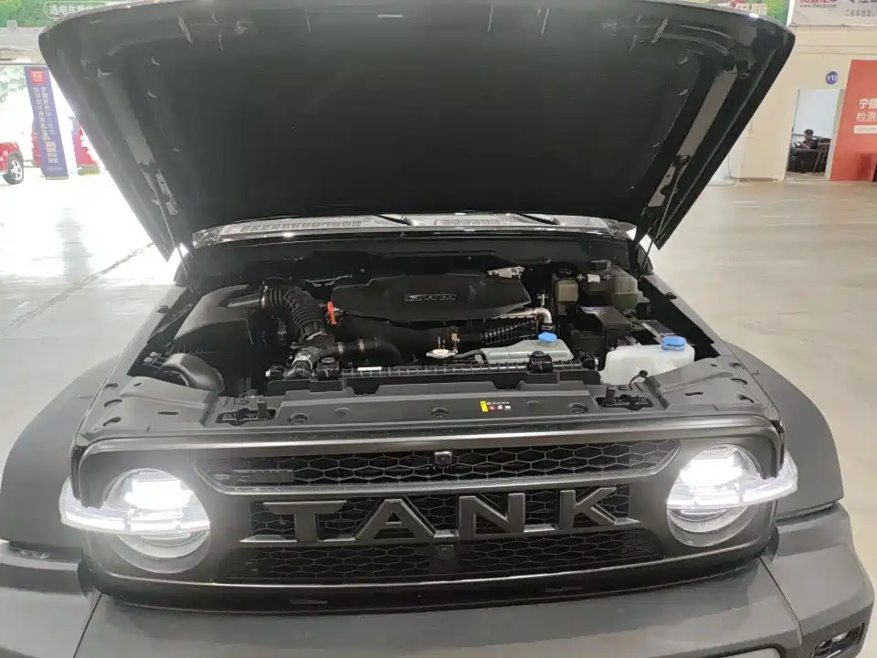 Tank Tank 300L New Energy — фото 6