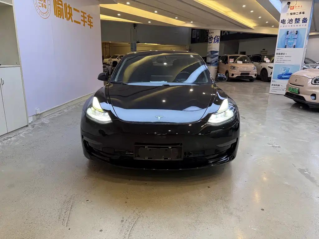 Tesla Model 3 — фото 2