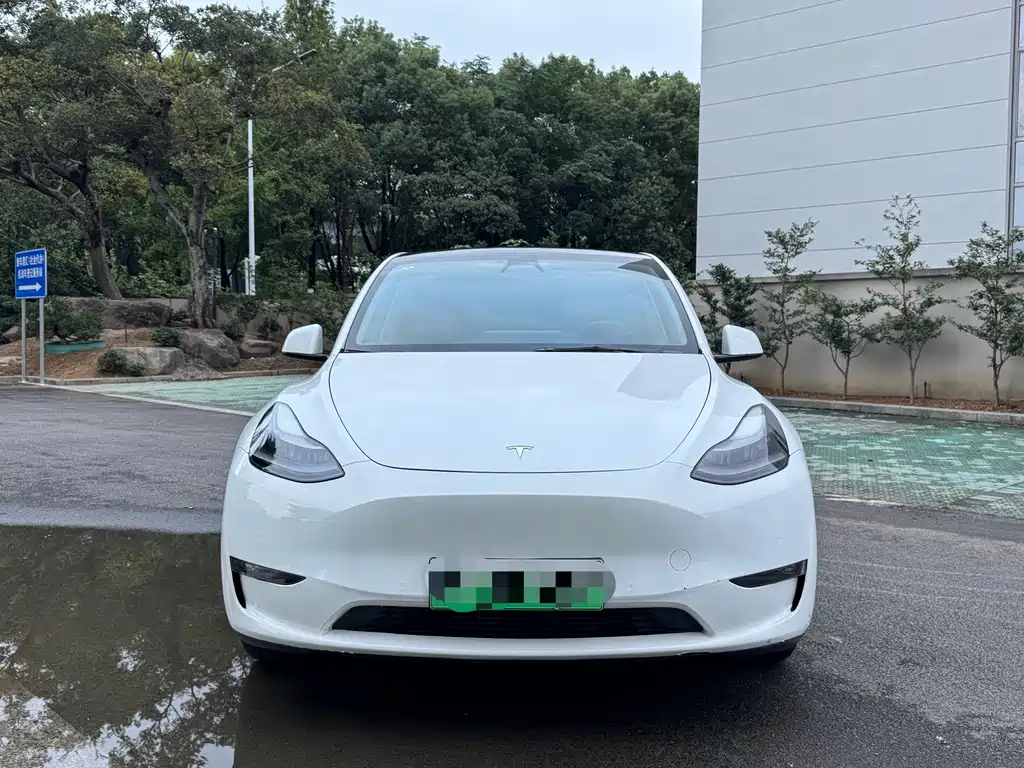Tesla Model Y — фото 2