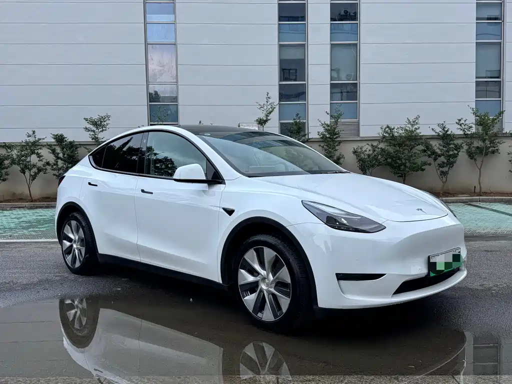 Tesla Model Y — фото 3
