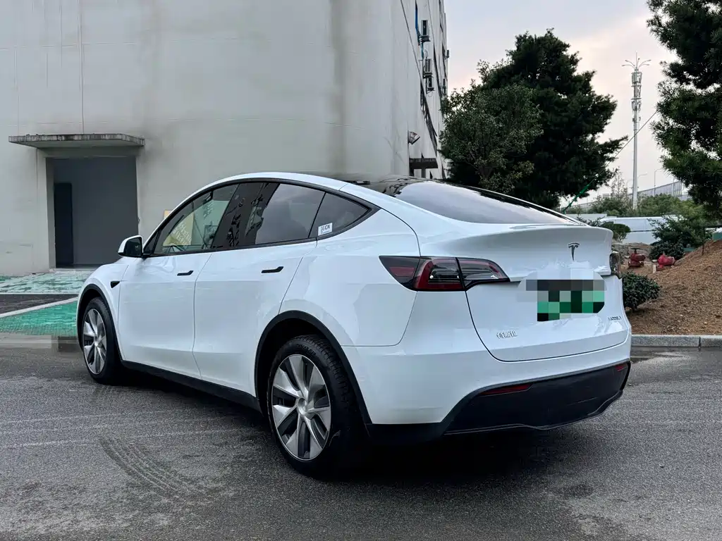 Tesla Model Y — фото 9