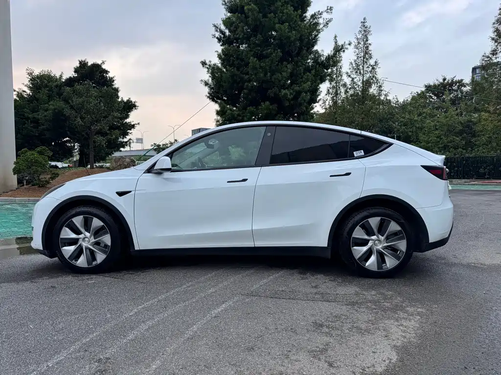 Tesla Model Y — фото 10